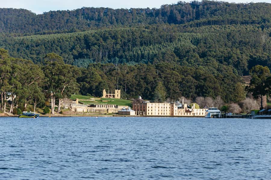From Port Arthur: Tasman Island Wilderness Cruise - Who should book this cruise?