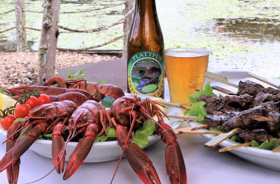 From Port Douglas: Atherton Tablelands Adventure - Practical details before you book