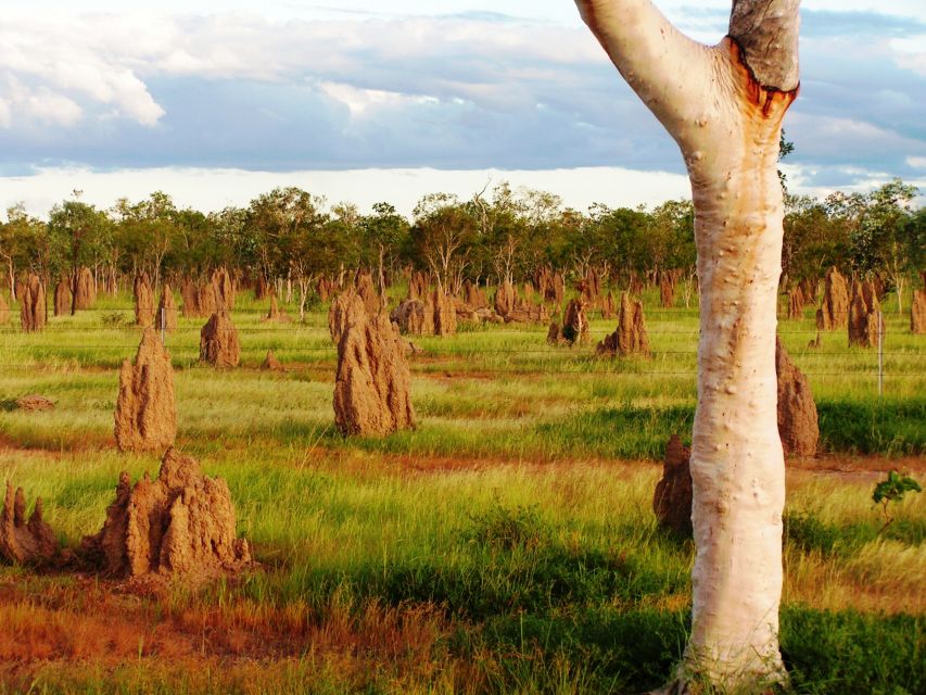 From Port Douglas: Atherton Tablelands Adventure - The guide can make or break the day