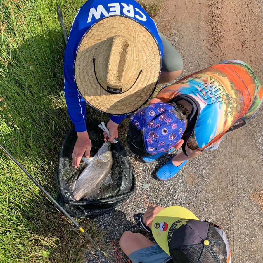 From Port Douglas: Barramundi Pond Fishing with Lunch - The Barramobile ride from Port Douglas