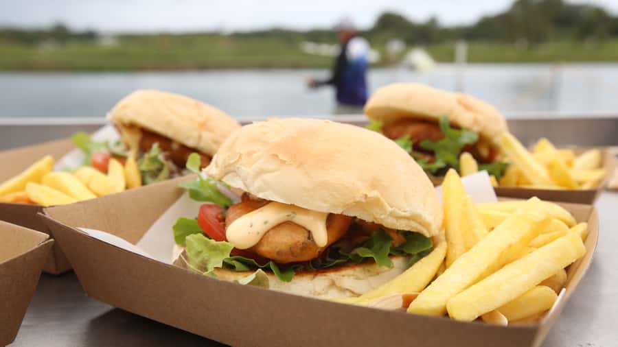 From Port Douglas: Barramundi Pond Fishing with Lunch - Seeing rare fish before you cast