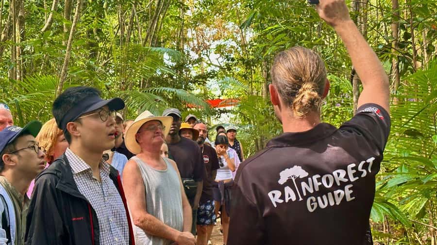 From Port Douglas: Daintree Rainforest & Mossman Gorge Tour - Key points at a glance