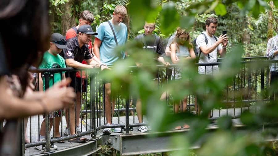 From Port Douglas: Daintree Rainforest & Mossman Gorge Tour - Two World Heritage places in one long day