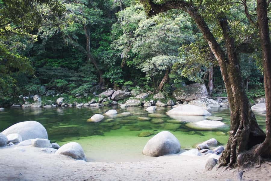 From Port Douglas: Daintree Rainforest & Mossman Gorge Tour - Is $145 a fair price?