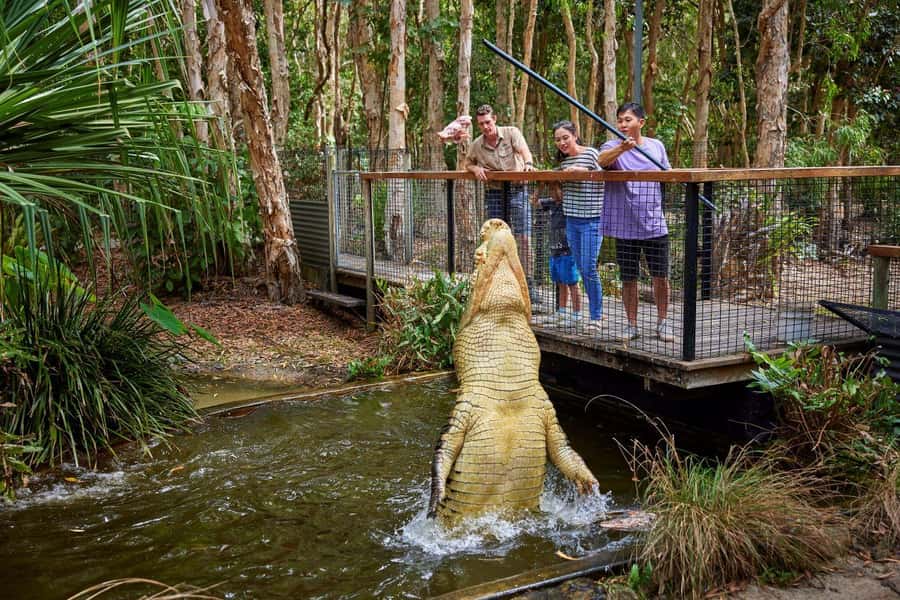 From Port Douglas: Hartley's Crocodile Park, Skyrail & Train - Key points at a glance