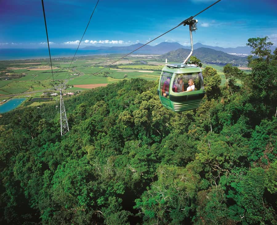 From Port Douglas: Hartley's Crocodile Park, Skyrail & Train - Skyrail: the rainforest from above