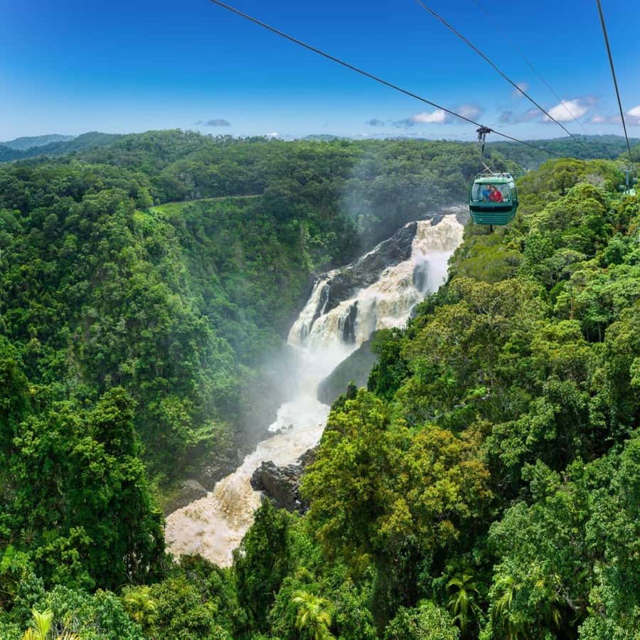 From Port Douglas: Hartley's Crocodile Park, Skyrail & Train - What the long schedule means for value