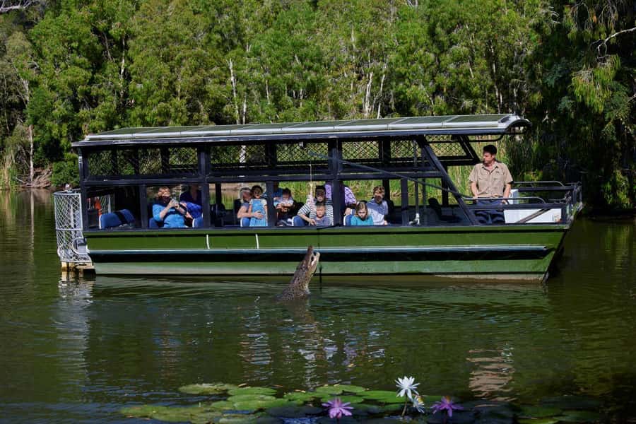 From Port Douglas: Hartley's Crocodile Park, Skyrail & Train - Should you book it?