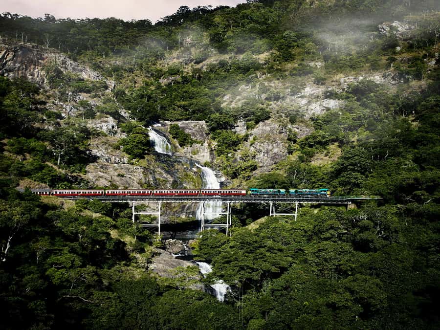 From Port Douglas: Kuranda Tour with Skyrail & Scenic Train - Key points at a glance