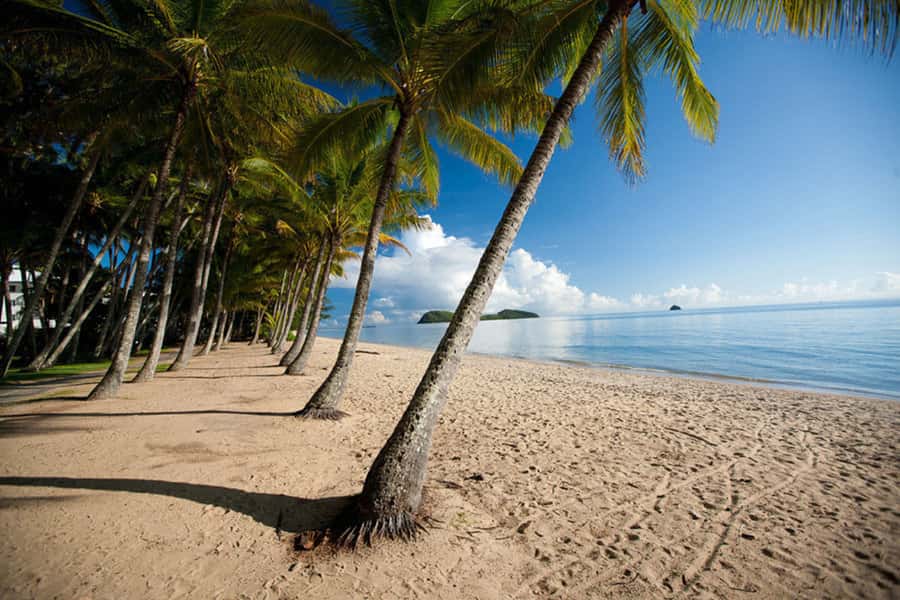 From Port Douglas: Kuranda Tour with Skyrail & Scenic Train - The Kuranda Scenic Train down the mountain