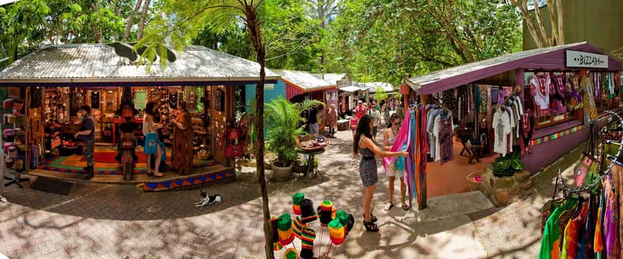 From Port Douglas: Kuranda Tour with Skyrail & Scenic Train - The guides make the schedule easier