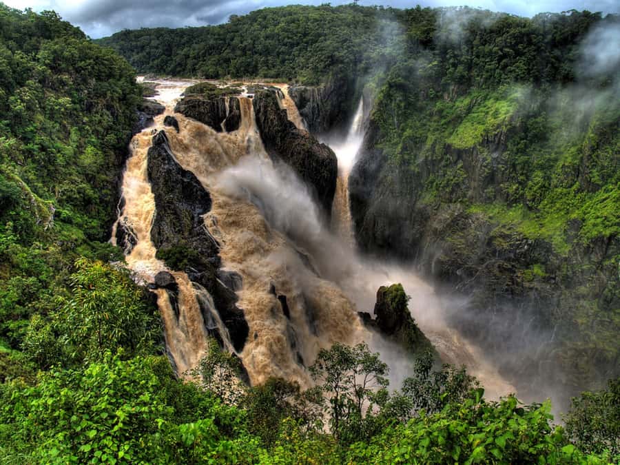 From Port Douglas: Kuranda via Scenic Rail or Skyrail Option - Should you book the Kuranda day trip?