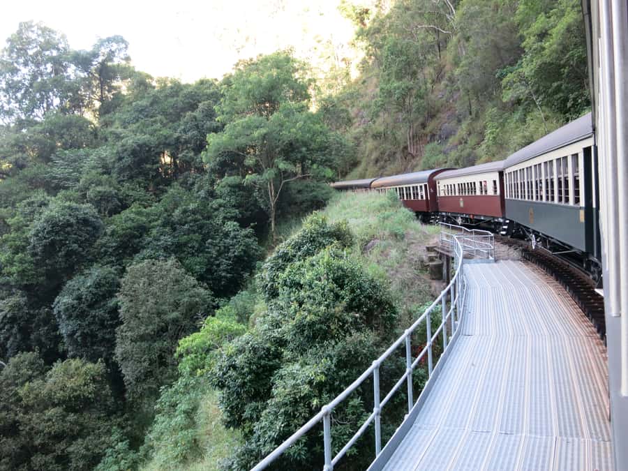 From Port Douglas: Kuranda via Scenic Rail or Skyrail Option - Palm Cove gives the day an easy finish
