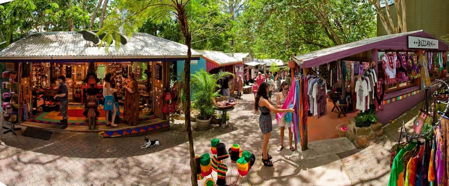 From Port Douglas: Kuranda via Scenic Rail or Skyrail Option - Riding the Kuranda Scenic Railway through 15 tunnels