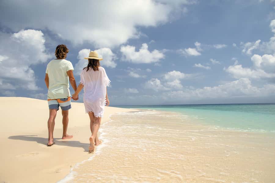 From Port Douglas: Outer Reef Cruise by Luxury Catamaran - The second reef site and a different way to see it