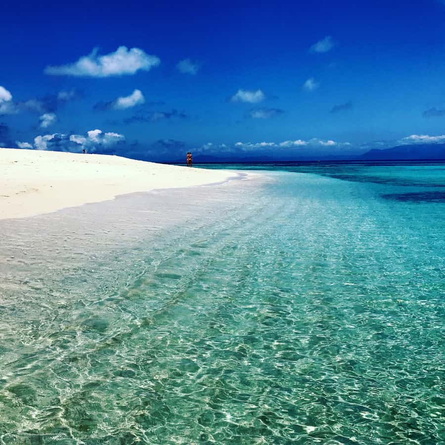 From Port Douglas: Outer Reef Cruise by Luxury Catamaran - Comfort, group size, and crew support