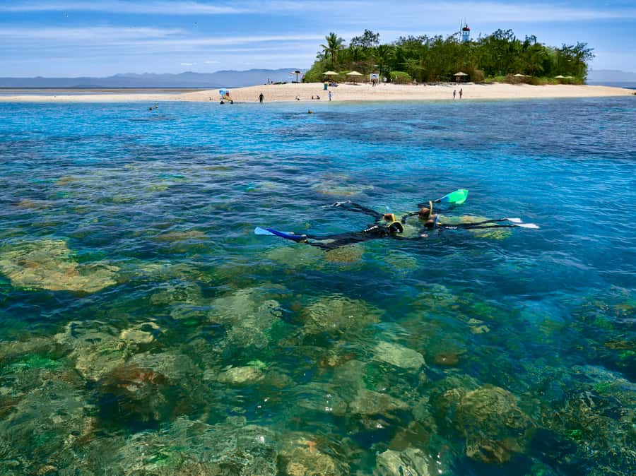 From Port Douglas: Sail to Low Isles Great Barrier Reef - Why Low Isles feels different from a standard reef trip