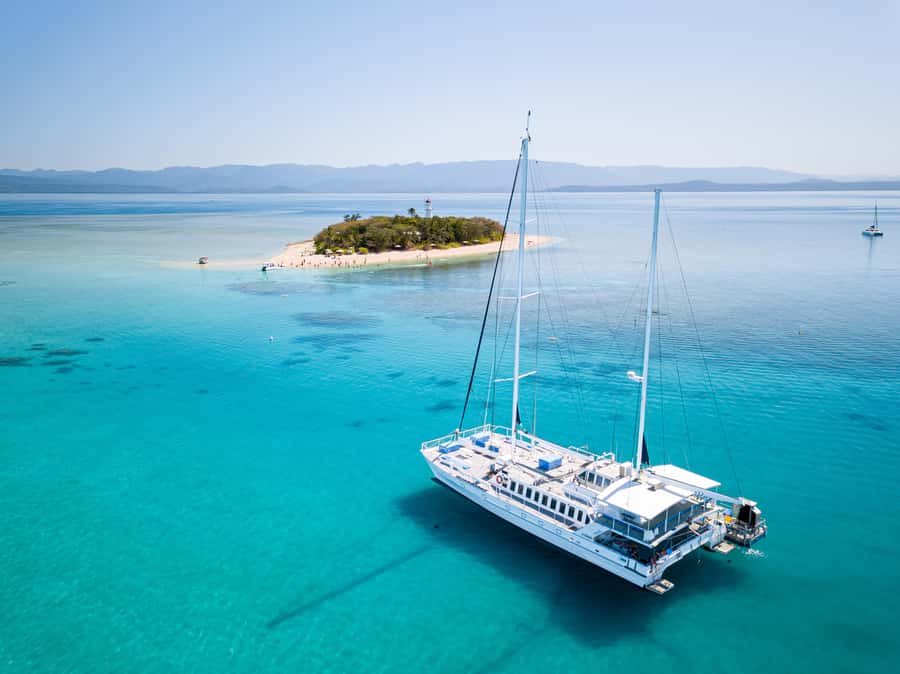 From Port Douglas: Sail to Low Isles Great Barrier Reef - A marine biologist sets the scene before you snorkel