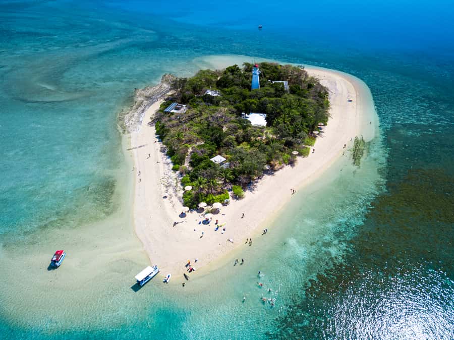 From Port Douglas: Sail to Low Isles Great Barrier Reef - Safety and comfort for different abilities