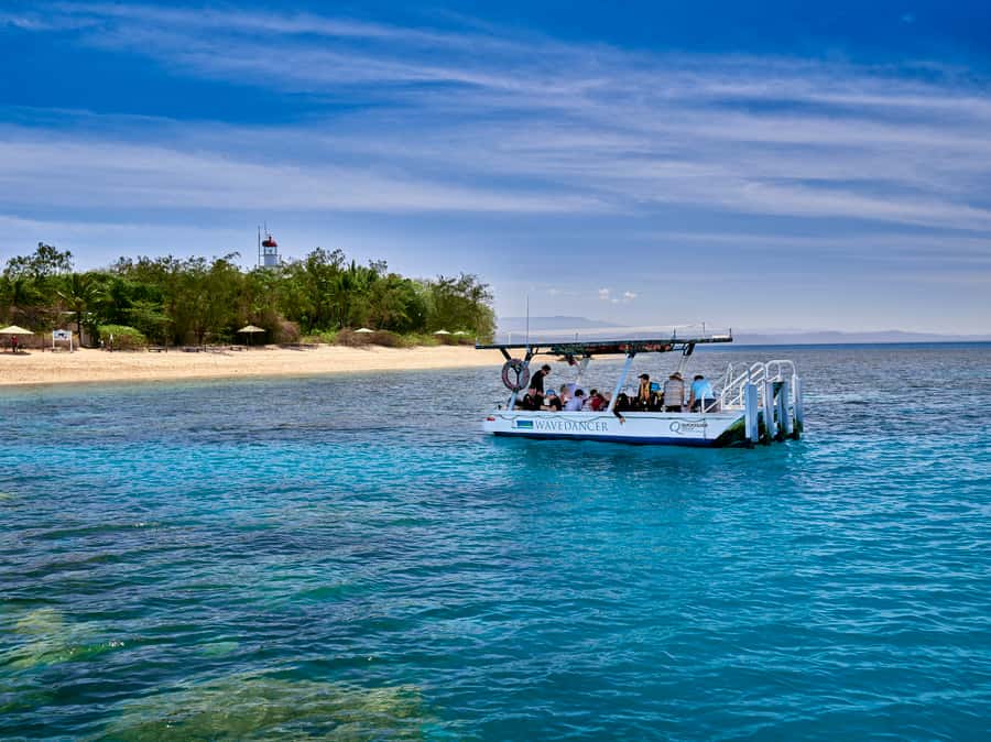 From Port Douglas: Sail to Low Isles Great Barrier Reef - Boarding the 30-meter Wavedancer in Port Douglas