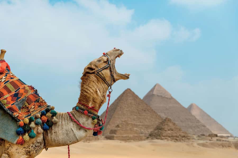 From Port said: Pyramids, Lunch Cruise, & Papyrus Institute - Menkaure and Khafre in shorter visits