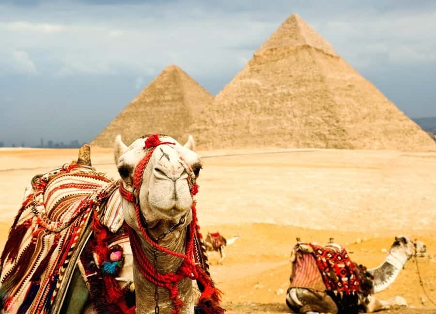 From Port Said: Trip to Cairo The Pyramids from Portsaid - Optional bazaar stop and extra photo time