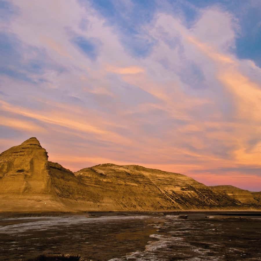 From Puerto Madryn: Peninsula Valdés Shore Excursion - Why Peninsula Valdés is worth the long ride