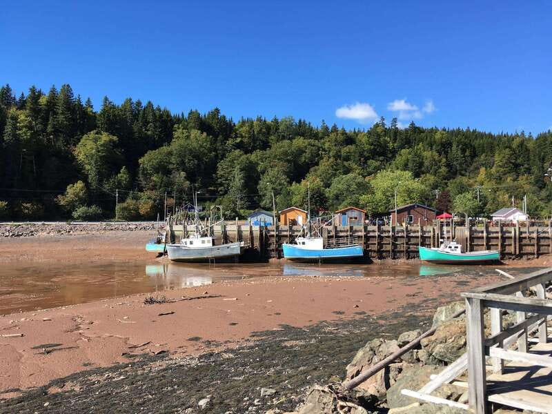 From Saint John: Bay of Fundy Bus Trip for Cruise Passengers - From the cruise terminal to the Bay of Fundy