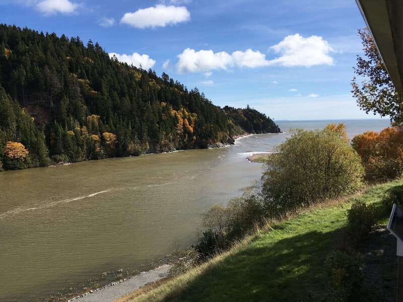 From Saint John: Bay of Fundy Bus Trip for Cruise Passengers - Reversing Falls: the day’s best natural show