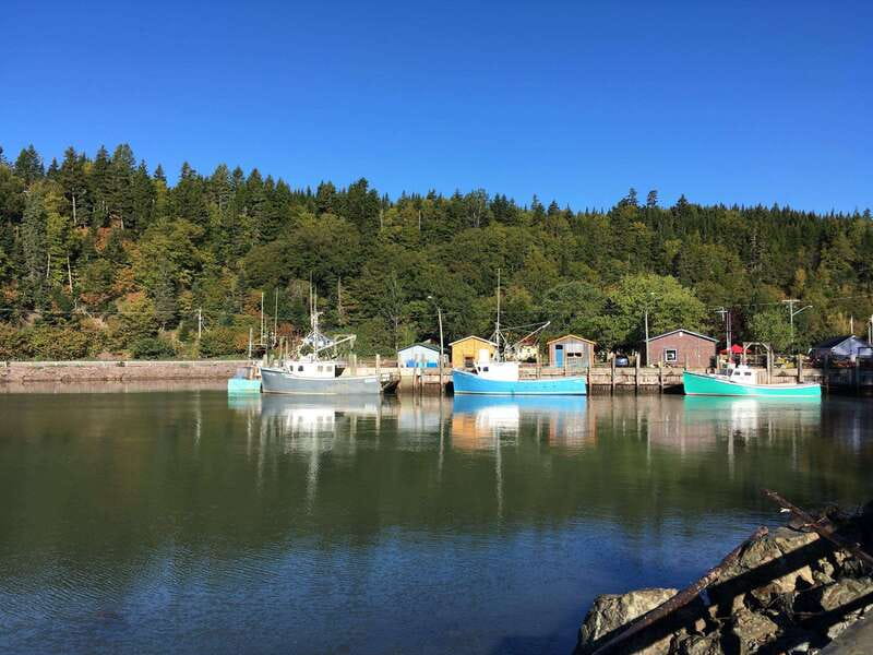 From Saint John: Bay of Fundy Bus Trip for Cruise Passengers - Carleton Martello Tower and a short history lesson