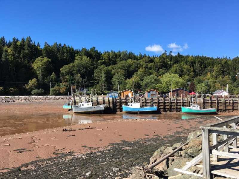 From Saint John: Bay of Fundy Bus Trip for Cruise Passengers - Sea caves, beaches, and the practical side of the coast