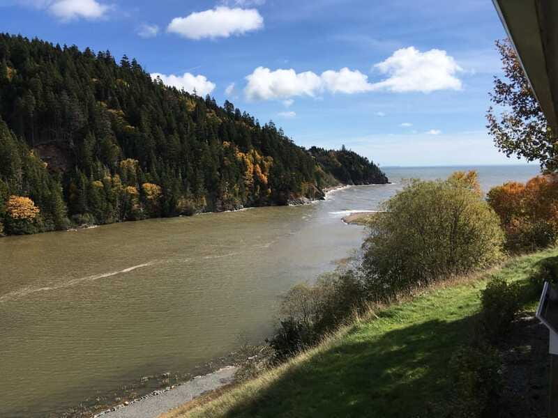 From Saint John: Bay of Fundy Bus Trip for Cruise Passengers - Saint John City Market: a quick final stop