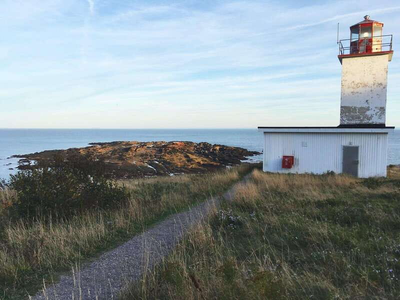 From Saint John: Bay of Fundy Bus Trip for Cruise Passengers - Is $87 a good value?