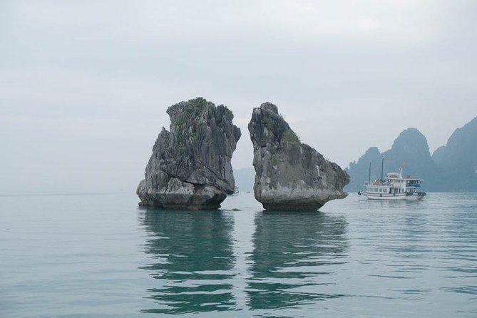 From your cruise port to Hanoi 1 day with our driver - What the boat-trip feedback tells you
