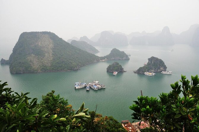 From your cruise port to Ninh Binh 1 day with our driver - Key points to know before booking