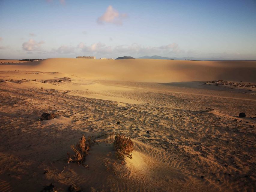 Fuerteventura: Corralejo Sand Dunes Guided Shore Excursion - Practical preparation for the sand and sea
