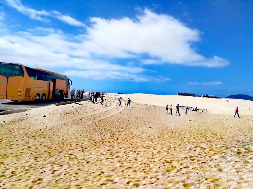 Fuerteventura: Corralejo Sand Dunes Guided Shore Excursion - Should you book the Corralejo dunes shore excursion?