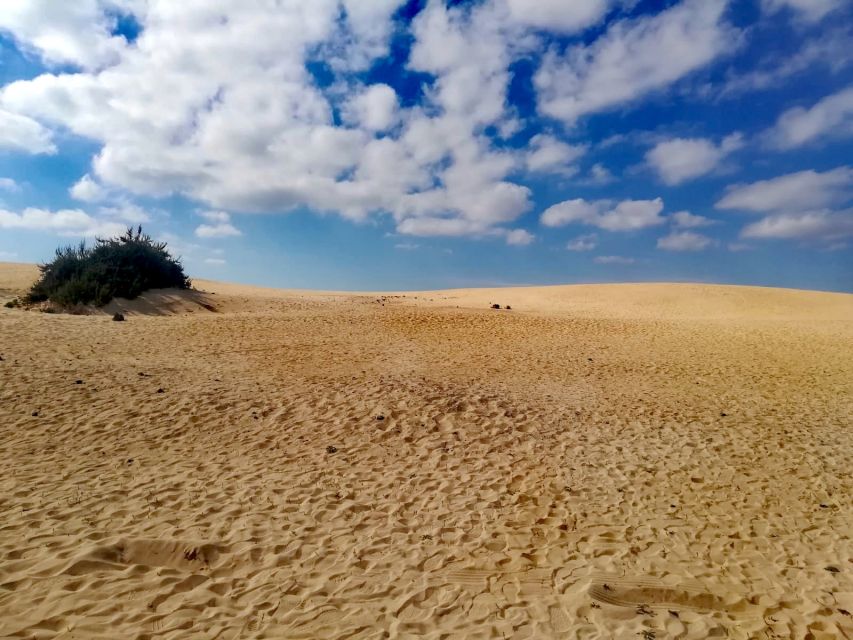 Fuerteventura: North of Fuerteventura for Cruise Passengers - El Cotillo and the Atlantic edge