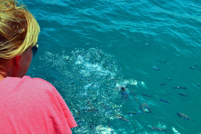 Full Day Dhow Cruise to Khor Sham with lunch & Snorkeling (Shore excursions) - Why Khor Sham is worth seeing from a dhow