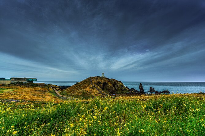 Full-Day Jeju Island UNESCO Tour for Cruise Layover Guests - Jeju Port route: four very different sides of the island