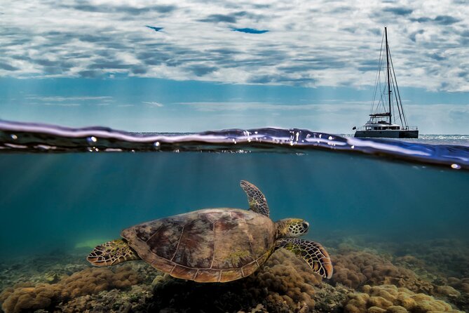 Full Day Low Isles Sailing & Snorkelling Cruise from Port Douglas - Sailing back to Port Douglas