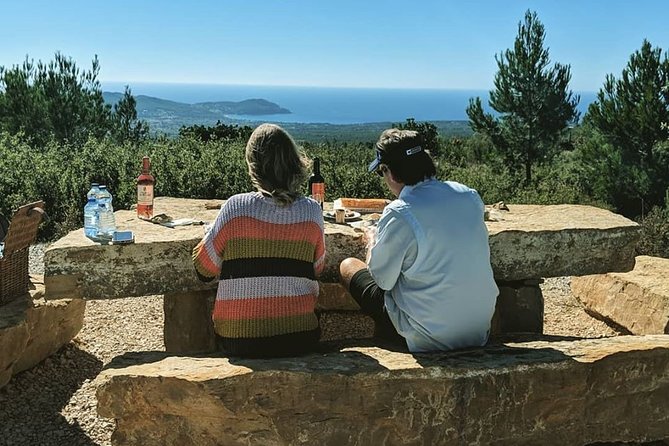 Full-Day Private Custom-Made Cannes Shore Excursion - What the private guide adds