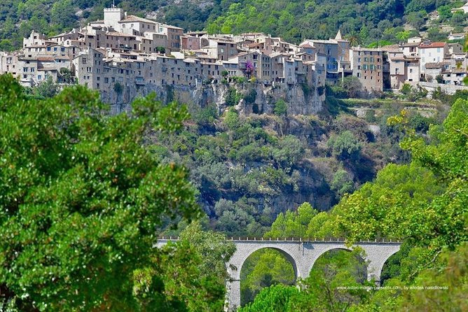 Full-Day Private Custom-Made Cannes Shore Excursion - Price and value for a group of seven