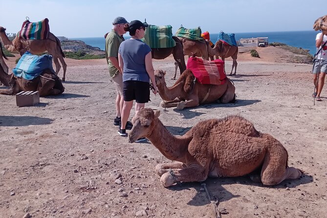 full day private tour of tangier from the cruise ship pick up - Hercules Caves and the legends of the coast