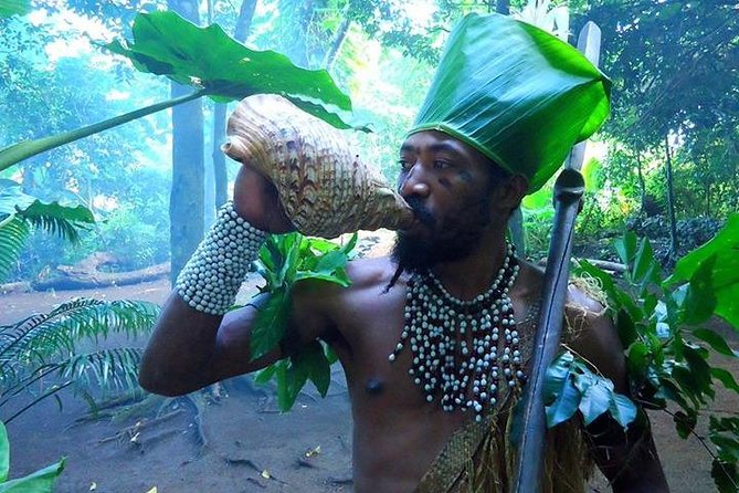 Full-Day Scenic Tour around the Island Tour from Port Vila - Iarofa or Pepyo Cultural Village and the fire walk