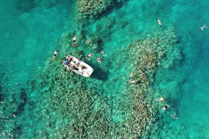 Full-Day Scenic Tour around the Island Tour from Port Vila - Afternoon tea and the return to Port Vila
