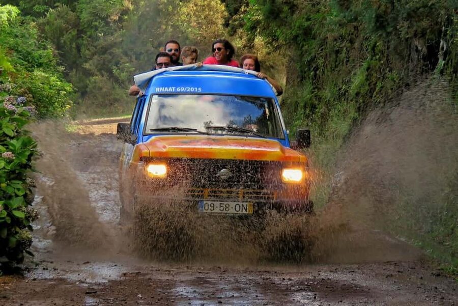 Funchal: Surprise Madeira Highlights for Cruise Guests - Forest roads and the off-road question