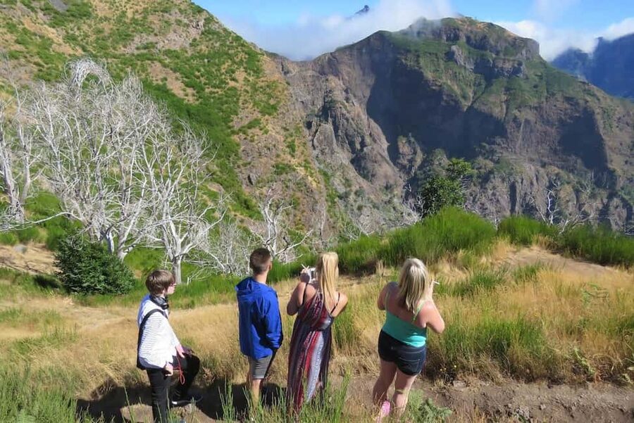 Funchal: Surprise Madeira Highlights for Cruise Guests - Meeting the jeep near Funchal’s port