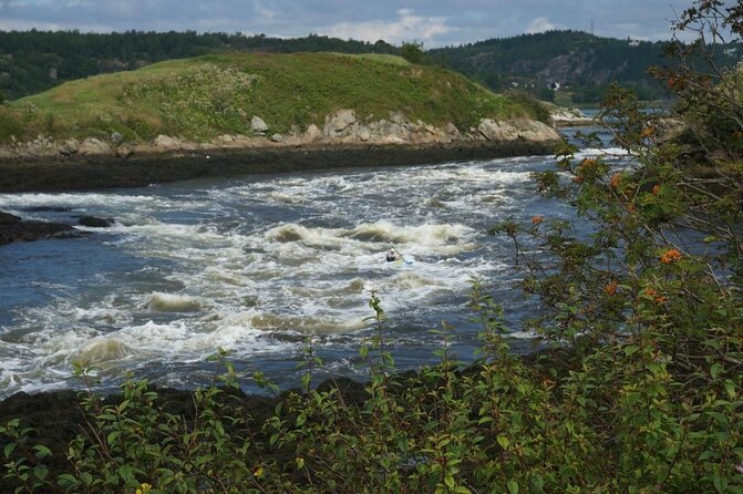 Fundy Coast to Fundy Shore Tour - Key points to know before booking
