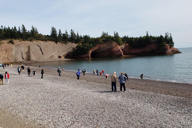 Fundy Coast to Fundy Shore Tour - Saint John City Market: a short taste of local life